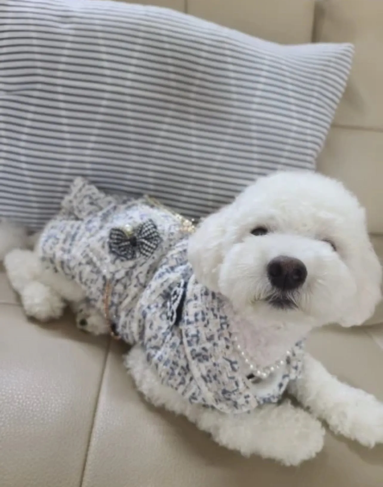 Princess Dress, Warm Skirt Bowknot Sweater Fashion Coat For Pets